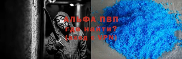 индика Пересвет
