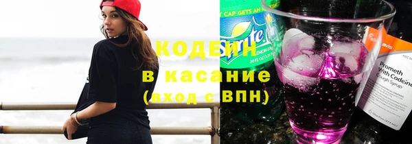 индика Пересвет