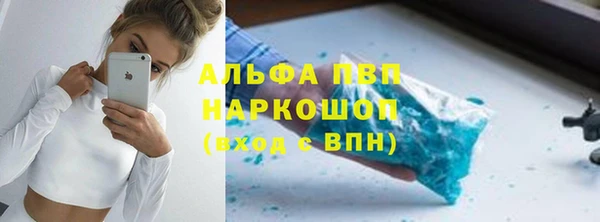 индика Пересвет
