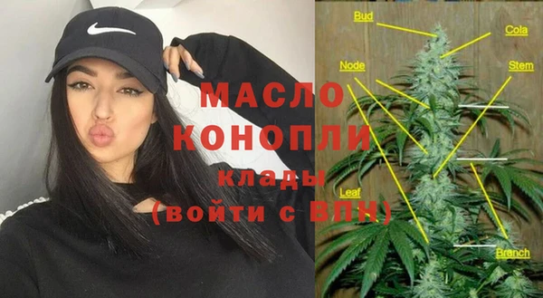 индика Пересвет
