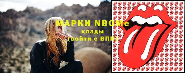 индика Пересвет