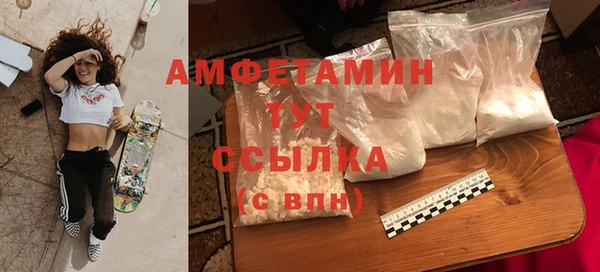 индика Пересвет