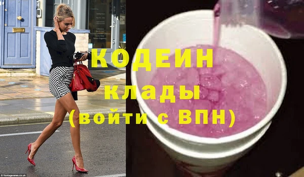 индика Пересвет