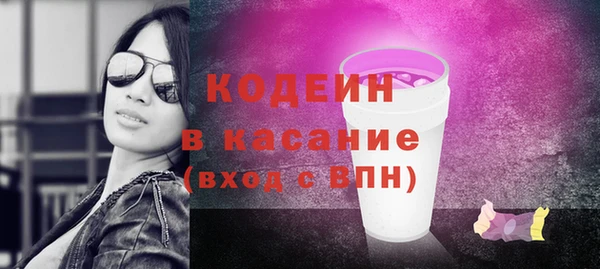 индика Пересвет