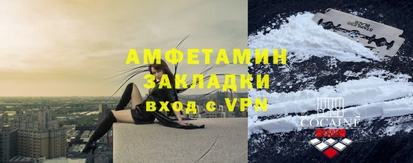 индика Пересвет