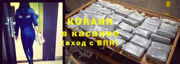 индика Пересвет