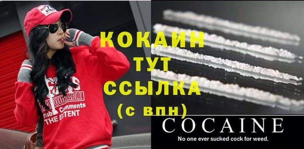 индика Пересвет